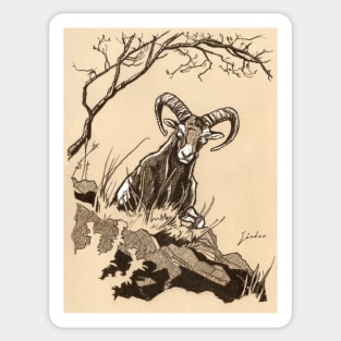 Mouflon drawing – Top attack Sticker